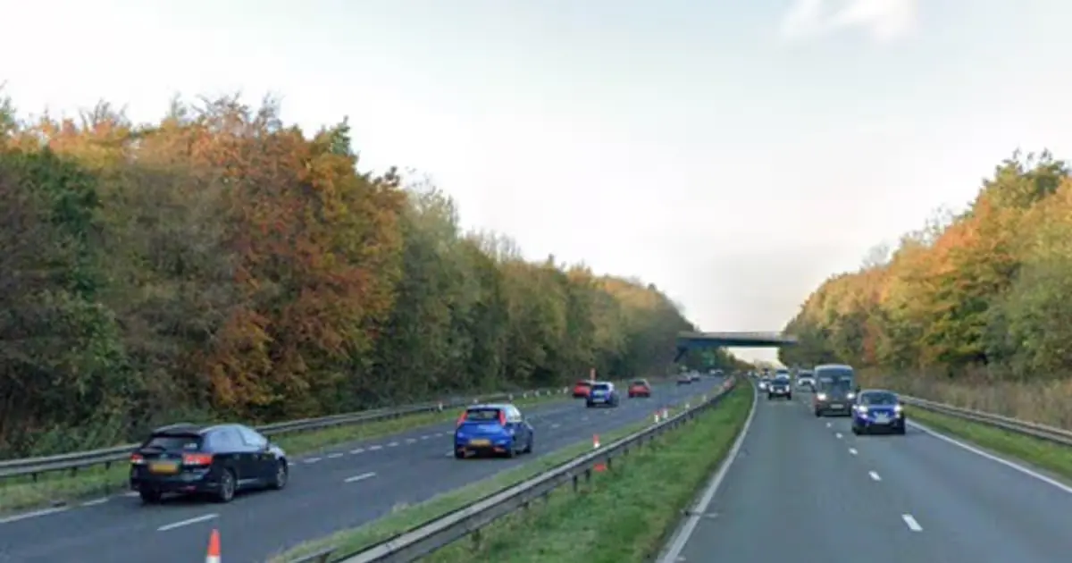 A19 Crash: Current Status and Safety Insights