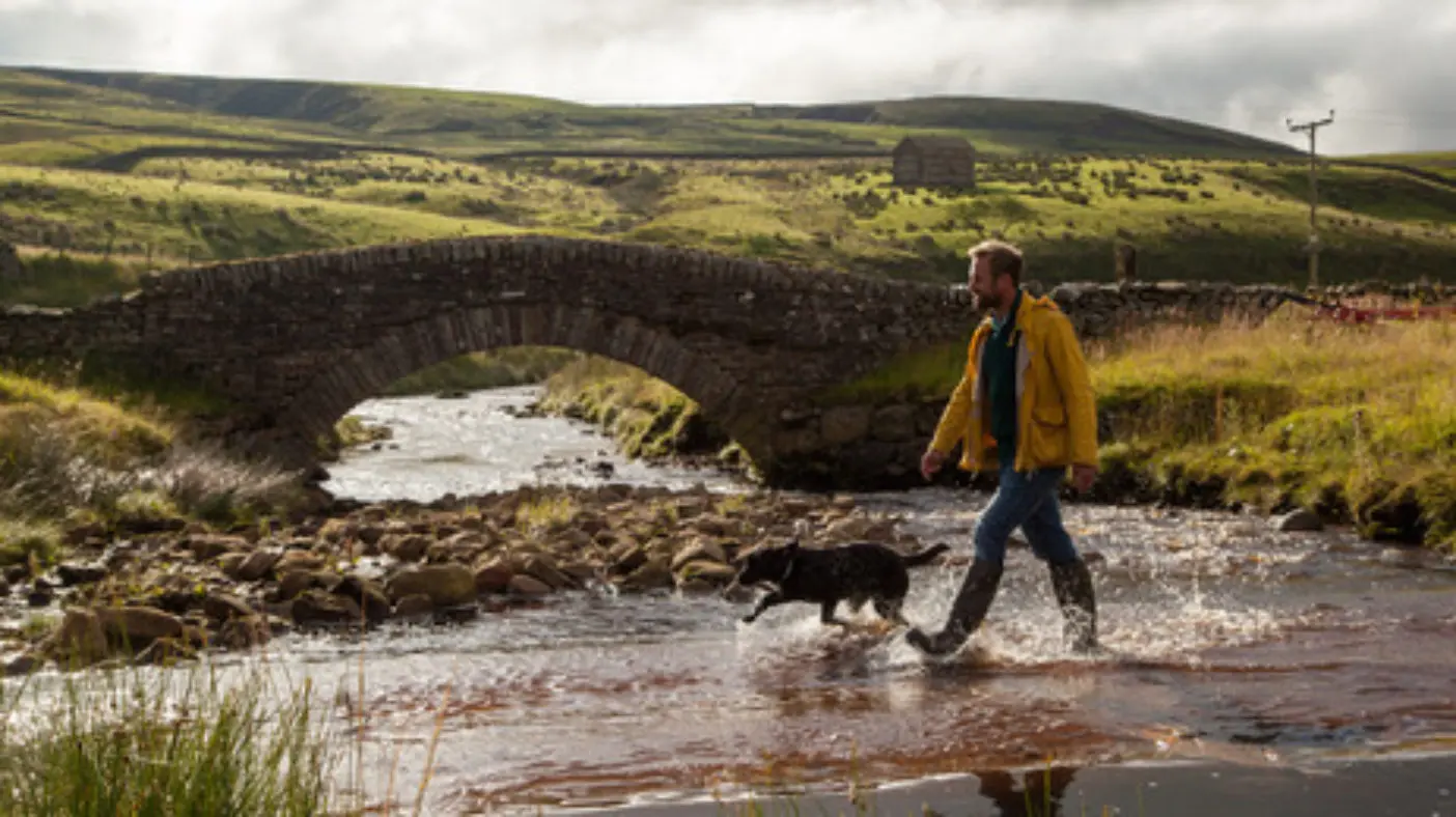 The Impact of Ben Fogle’s New Lives in the Wild