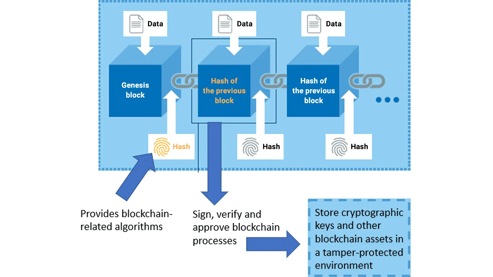 The Rise of Blockchain Applications in 2023