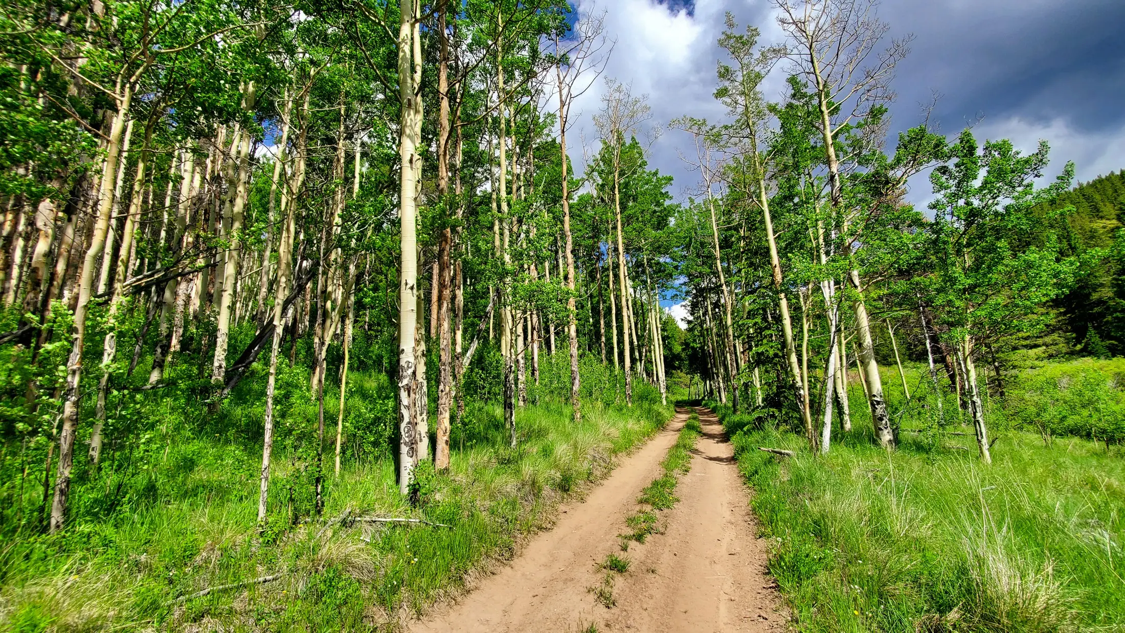 Exploring Colorado: A Land of Adventure and Beauty
