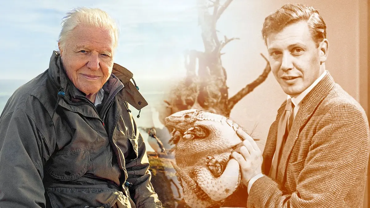 David Attenborough: The Face of Nature Documentary