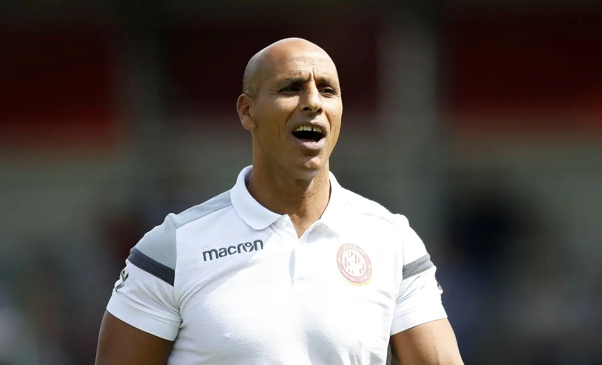 Exploring the Career of Dino Maamria