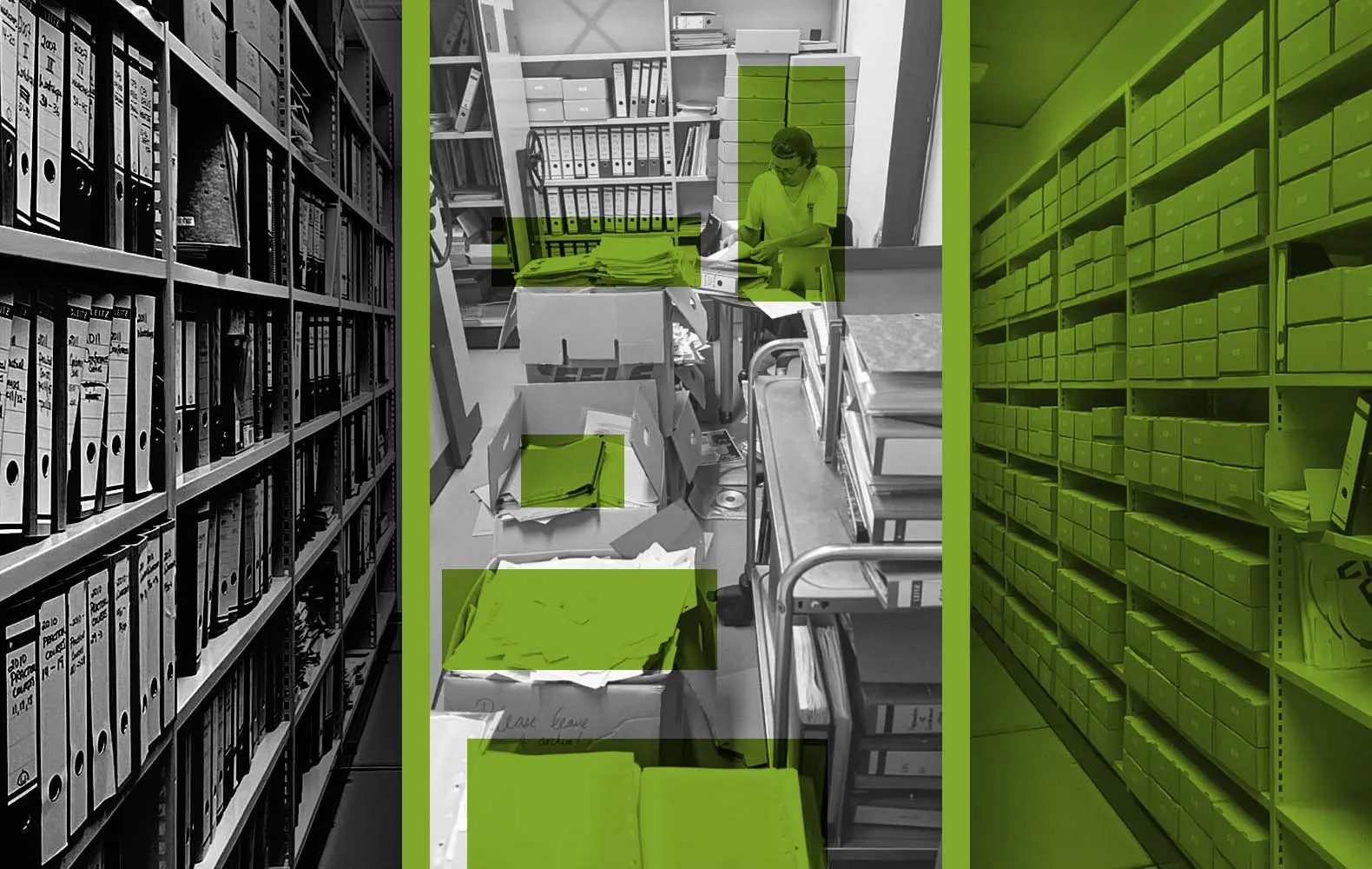 The Role of EMBO in Advancing Life Sciences Research