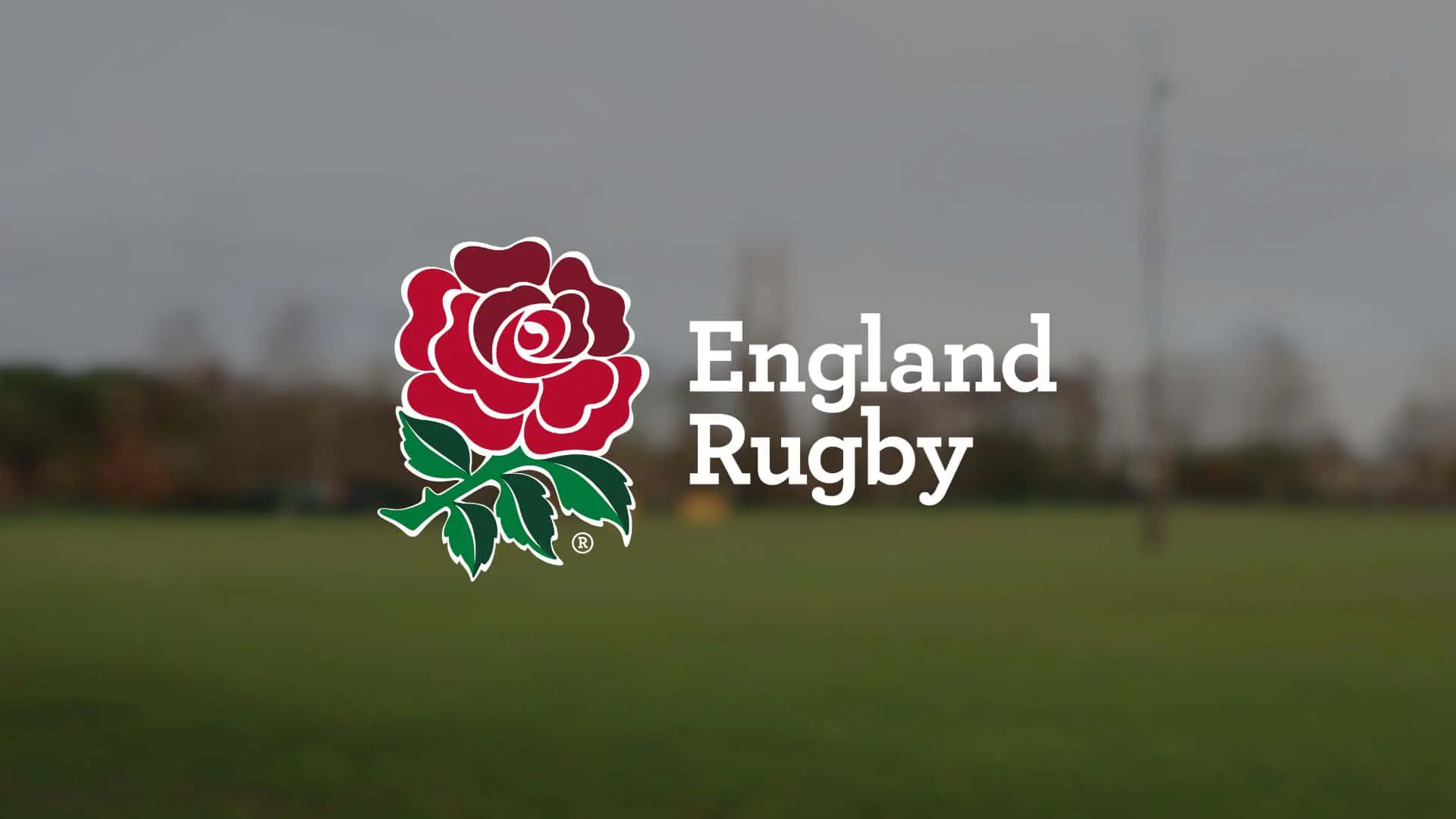 England Rugby: Recent Updates and Future Prospects