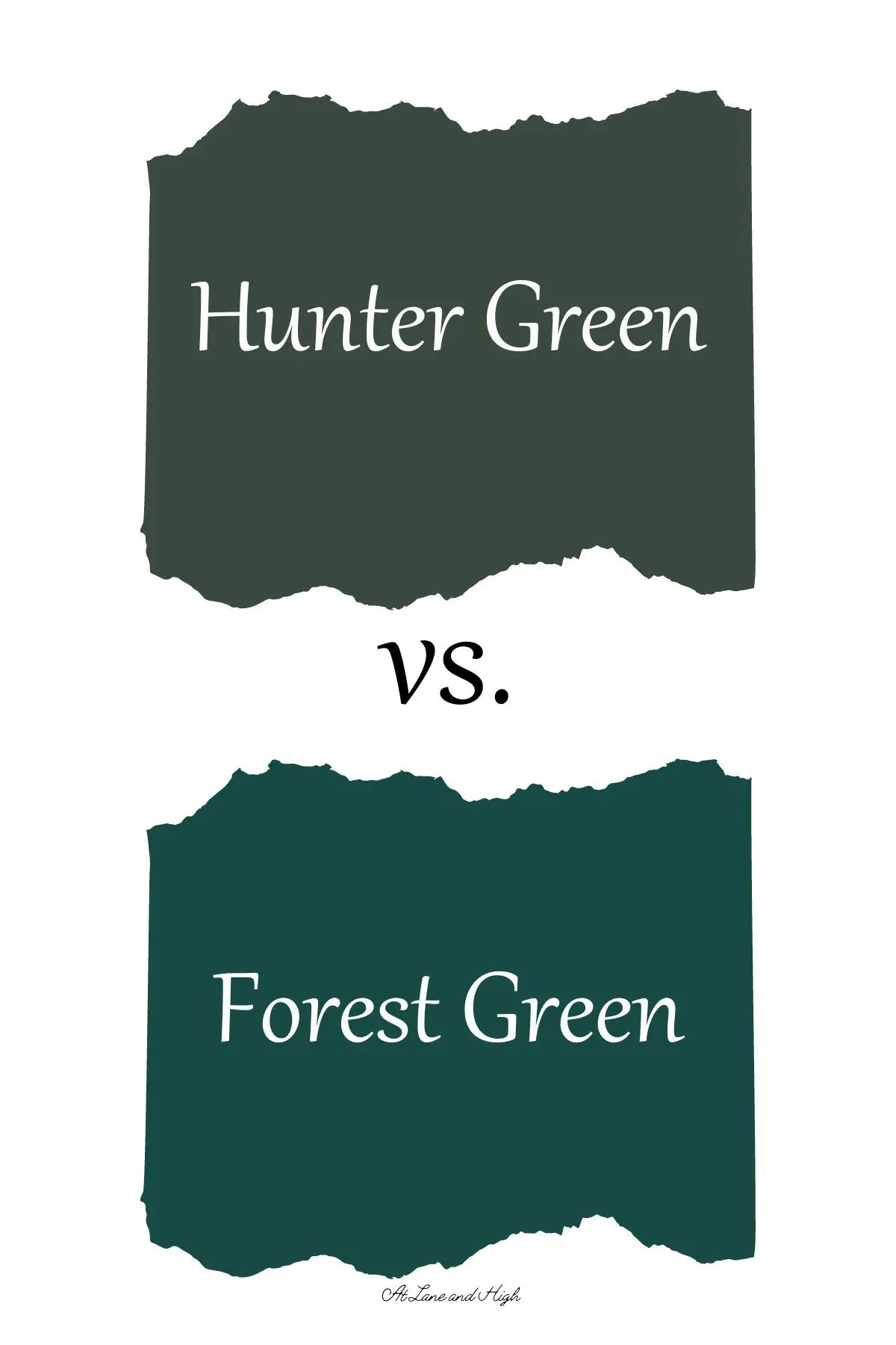 Forest Green vs Carlisle: Key Match Insights
