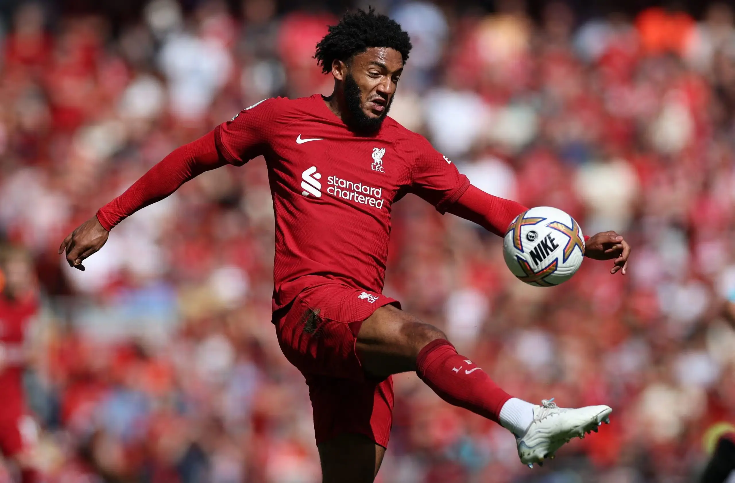 Updates on Joe Gomez: Key Contributions and Future Prospects
