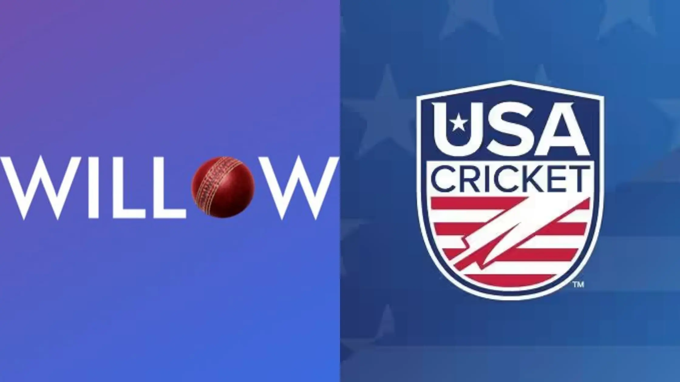 The Evolution and Accessibility of Live Cricket Streaming in 2023