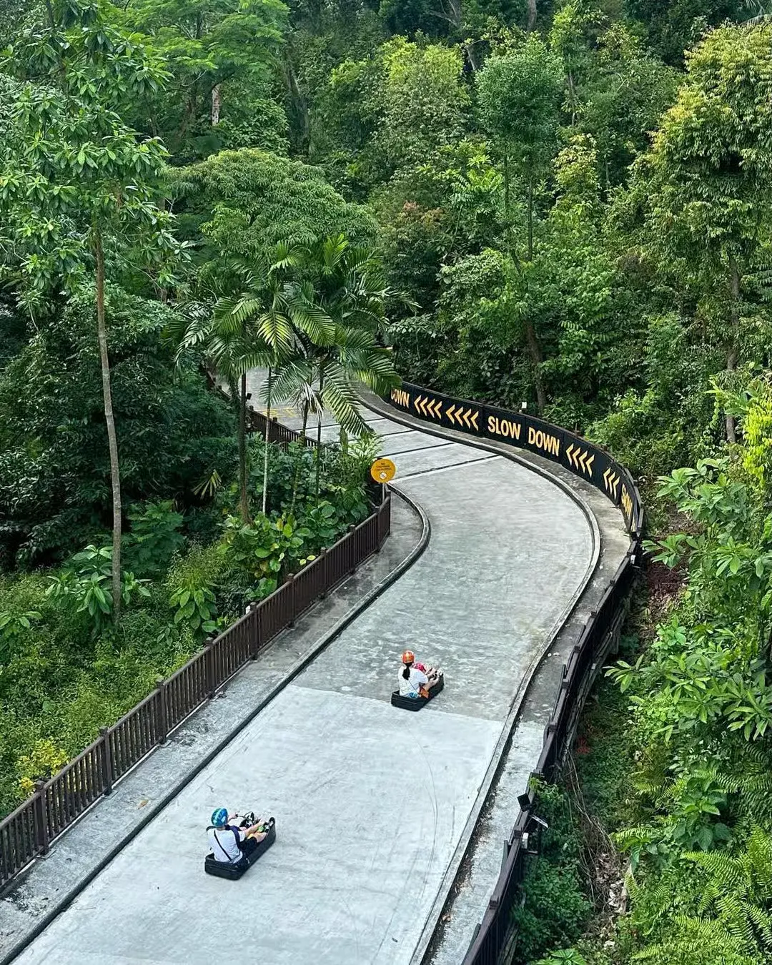 Exploring the Thrills of Luge as a Winter Sport