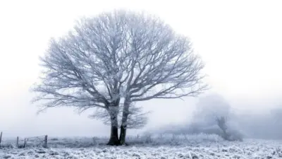 Moderate Snow Ice Warning Across Various Regions