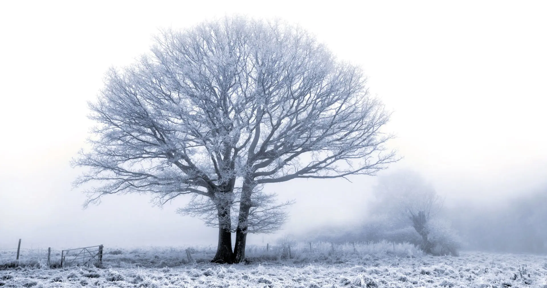 Moderate Snow Ice Warning Across Various Regions