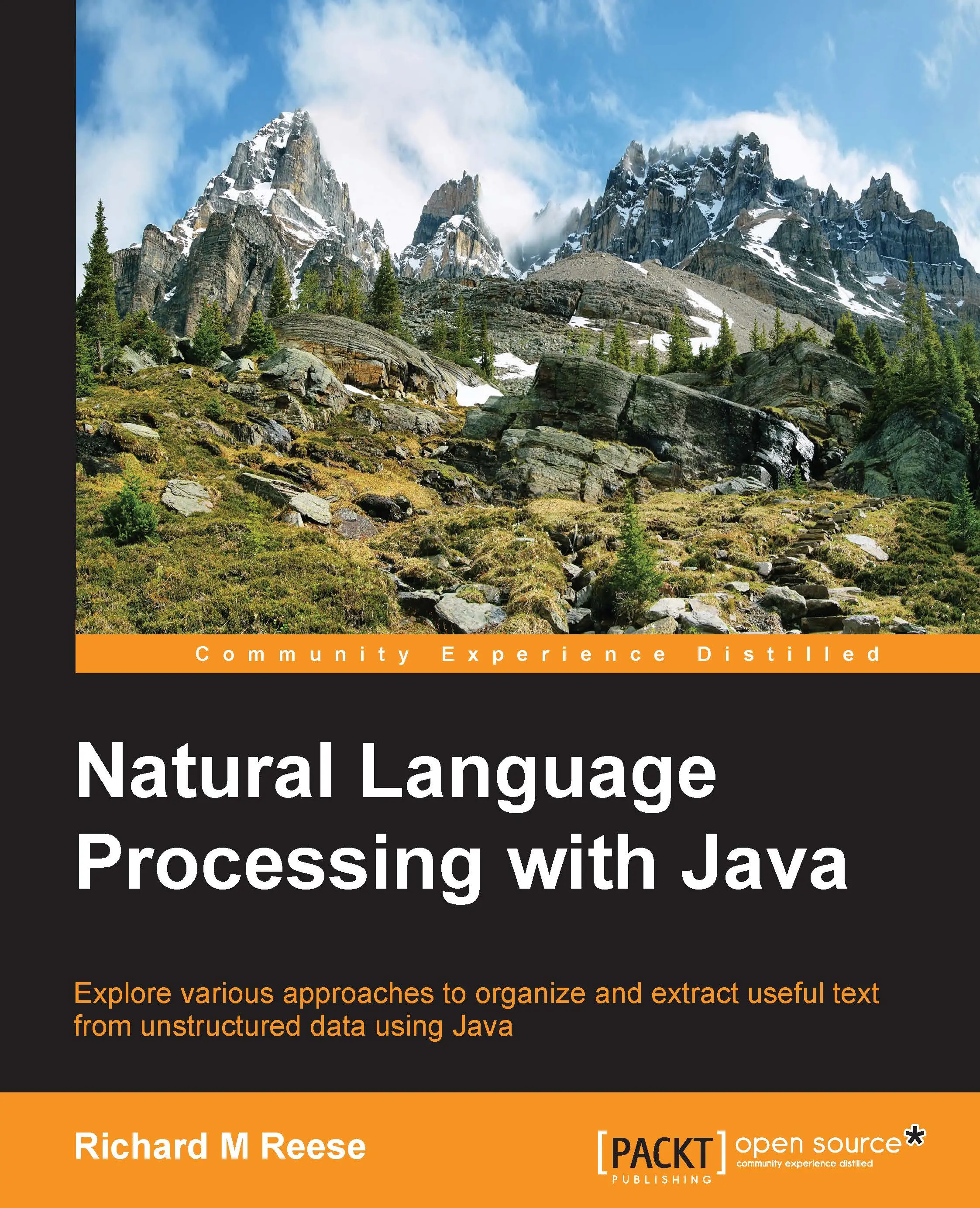 The Rise of Natural Language Processing in Modern Technology