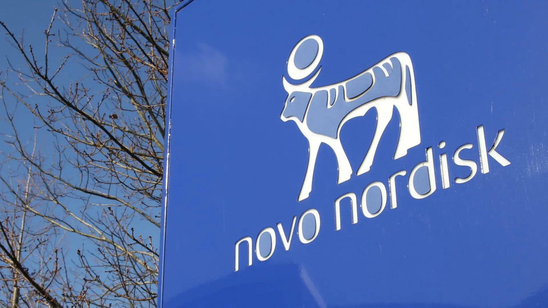 Innovations and Impact of Novo Nordisk in Diabetes Care