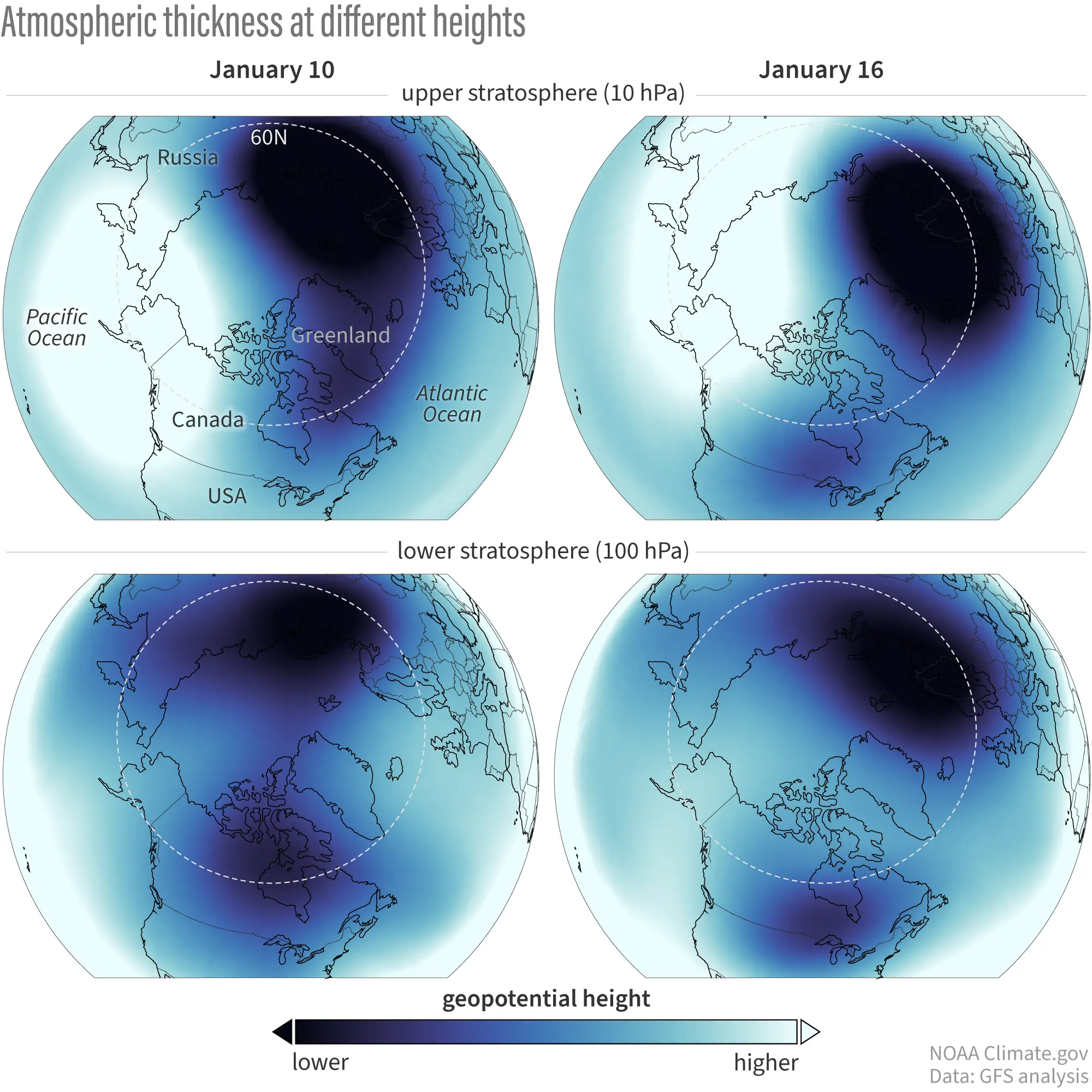 Insights on the Polar Vortex Split Forecast