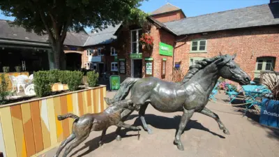 Discover Ringwood: A Vibrant Suburb of Melbourne