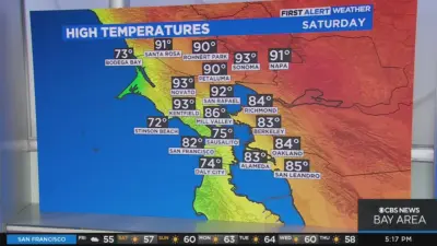 Current San Francisco Weather Insights and Forecasts