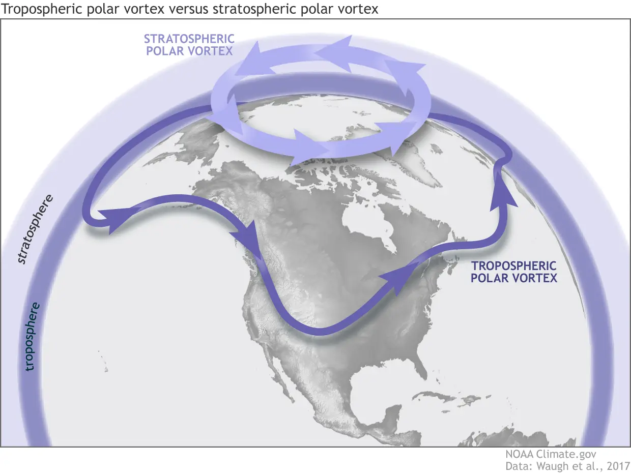 The Impact of Sudden Stratospheric Warming on Weather Patterns