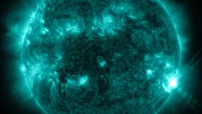 The Impact and Significance of Sun Solar Flares