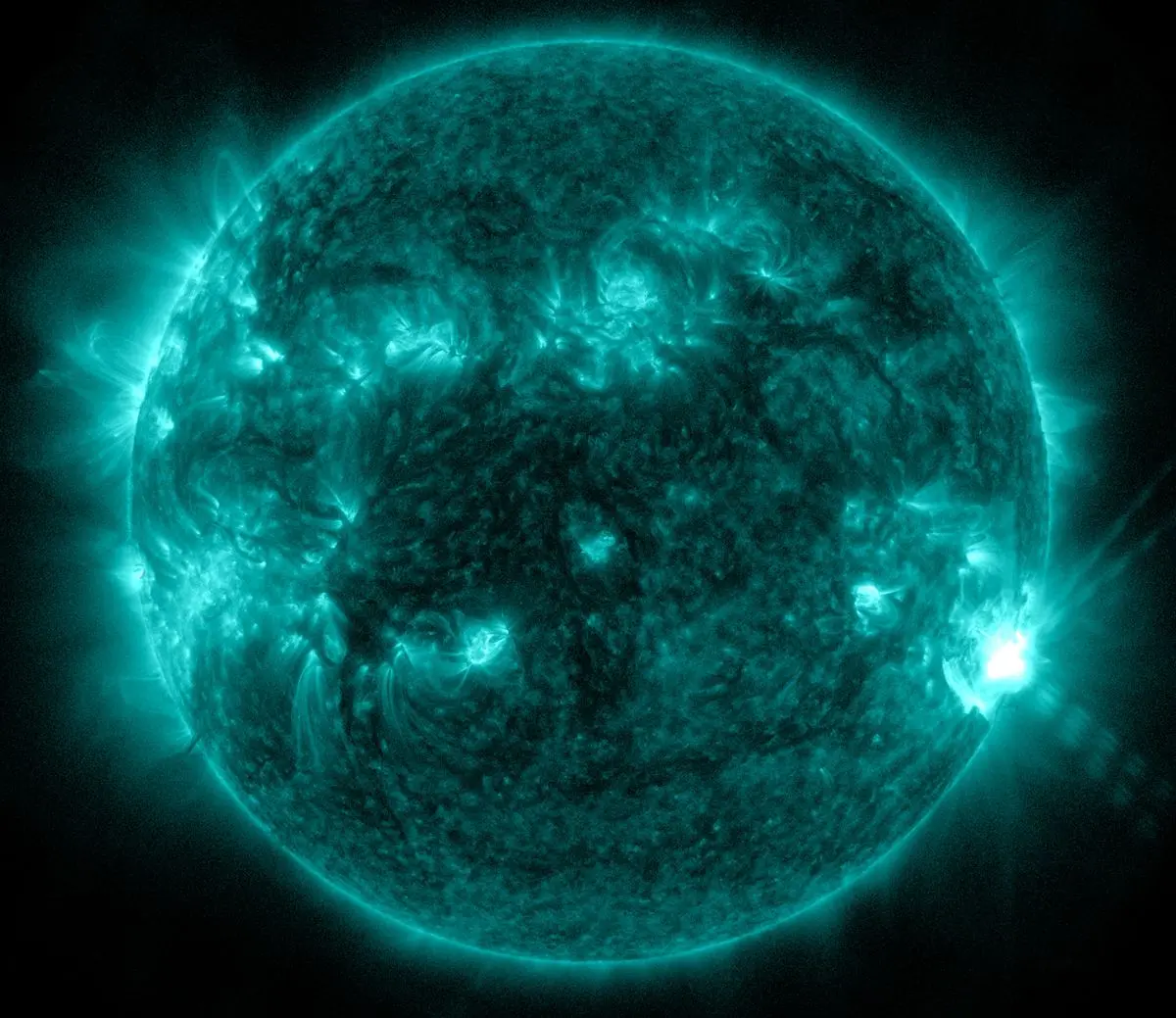 The Impact and Significance of Sun Solar Flares