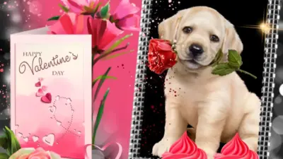 Valentine’s Day 2023: Celebrations, Trends, and Significance