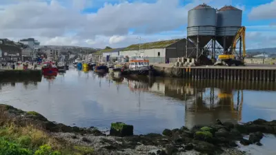 Unlocking the Wonders of Wicklow: Nature and Heritage