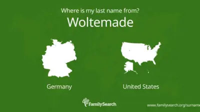 Woltemade: Transforming the E-Commerce Experience