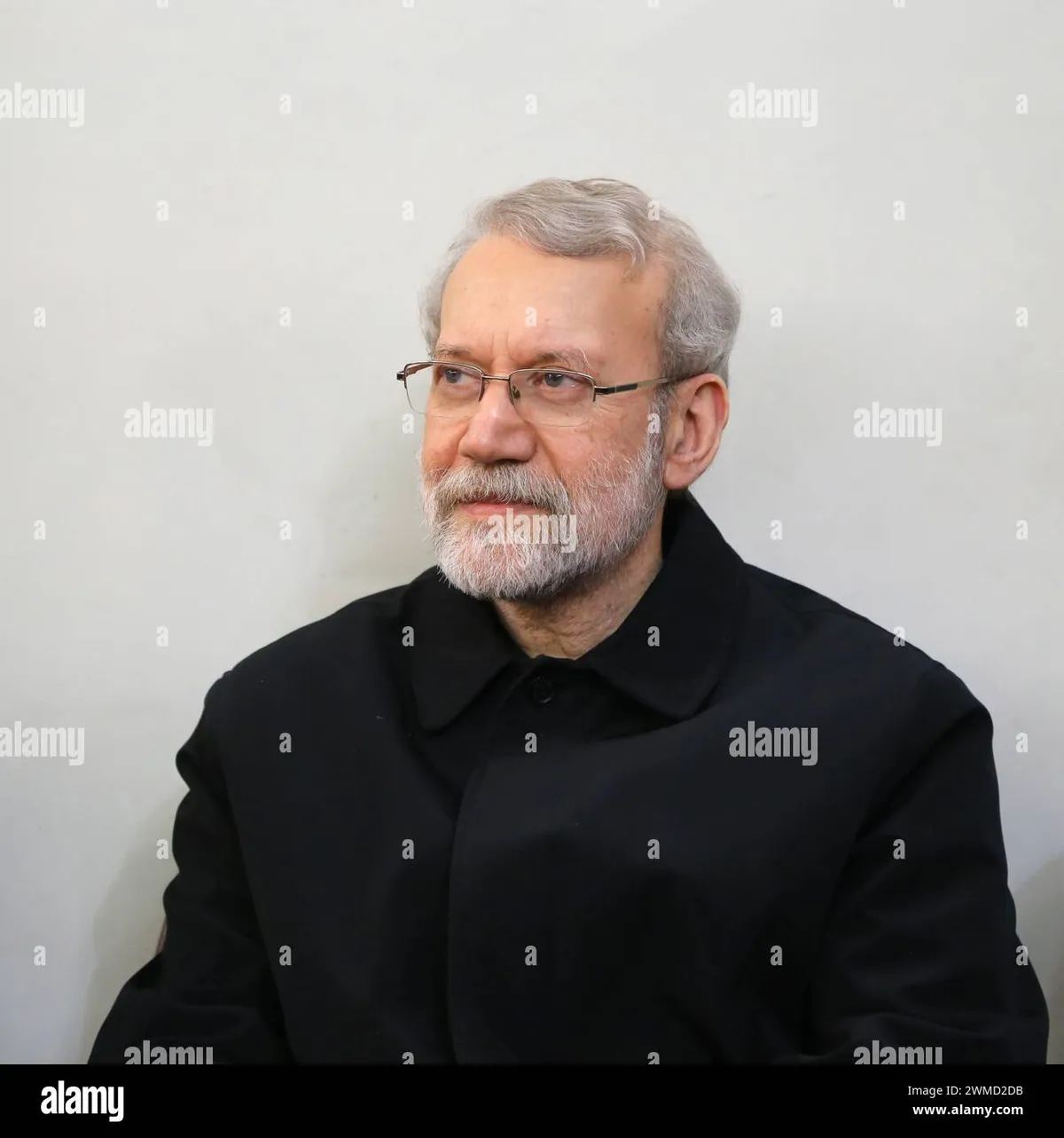 ali larijani — GB news