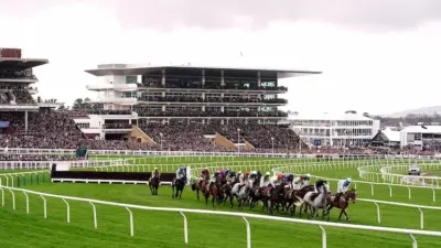 cheltenham gold cup 2026 — GB news
