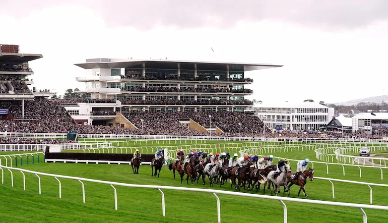cheltenham gold cup 2026 — GB news