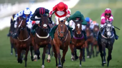 cheltenham races results — GB news