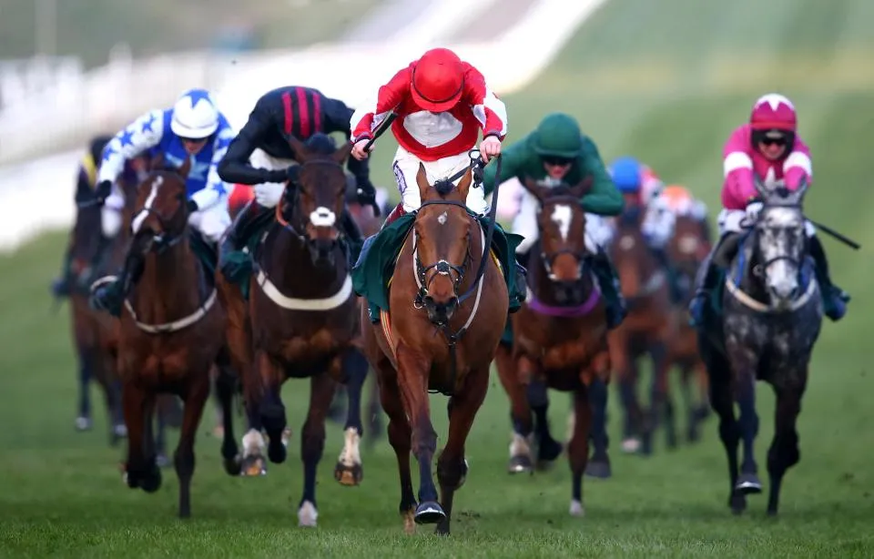 cheltenham races results — GB news