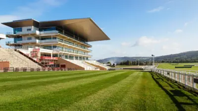 cheltenham races — GB news