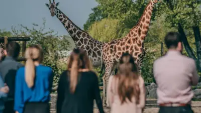 chester zoo — GB news