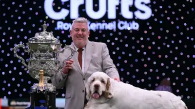 clumber spaniel crufts winner — GB news
