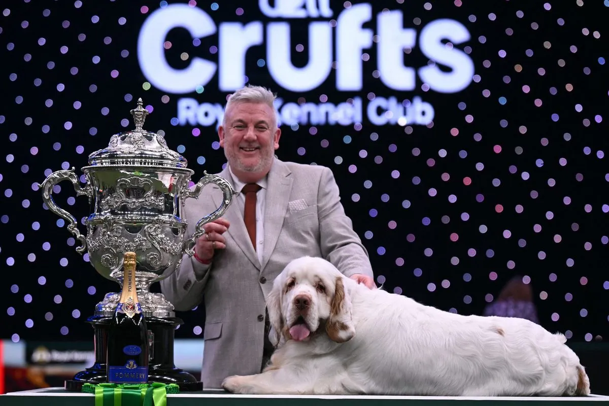 clumber spaniel crufts winner — GB news