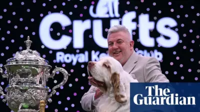 clumber spaniel — GB news