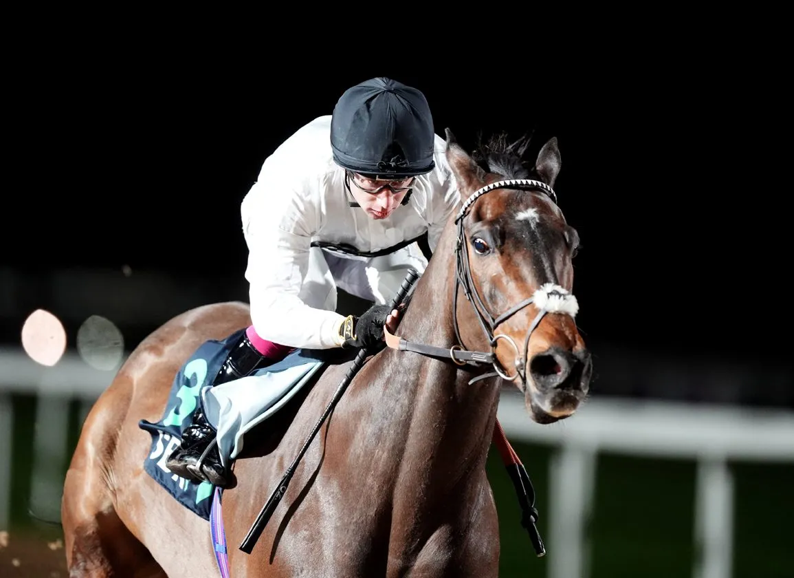 constitution hill kempton — GB news