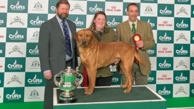 crufts winners — GB news