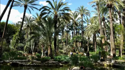elche — GB news