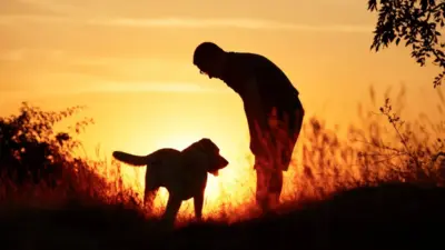 euthanasia — GB news