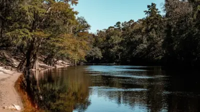 gibson park — GB news
