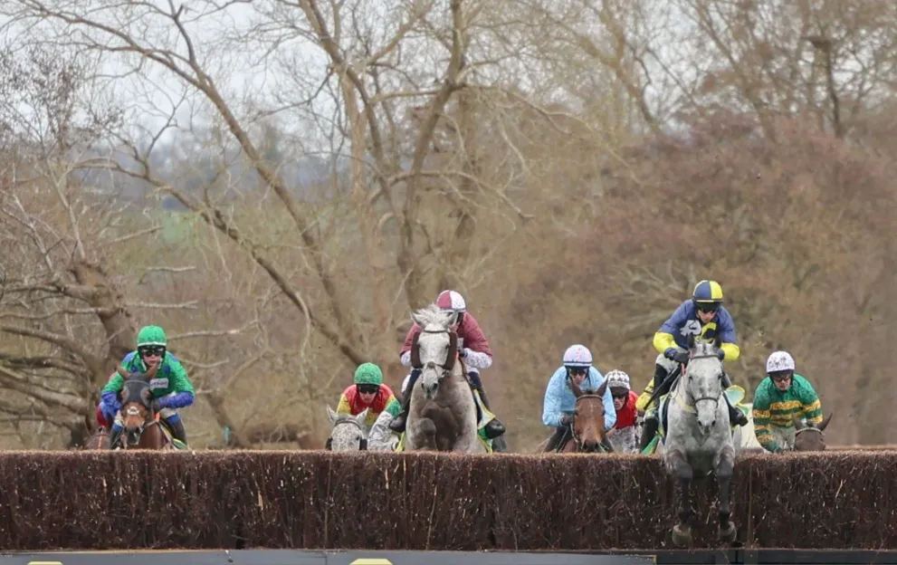 grand national 2026 — GB news