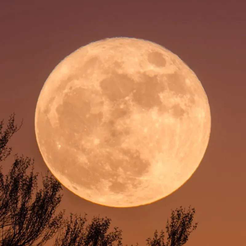 is it a full moon tonight — GB news