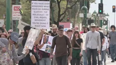 no kings protest — GB news