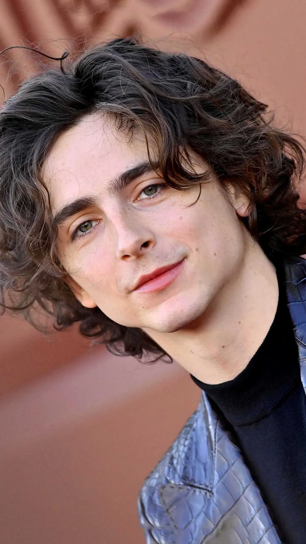 timothee chalamet — GB news
