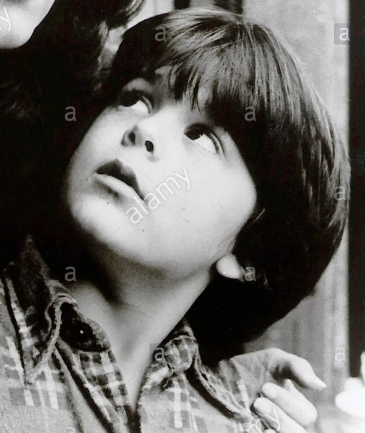 ty mitchell — GB news