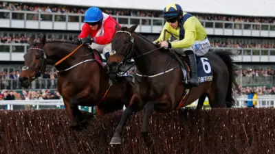watch cheltenham races — GB news