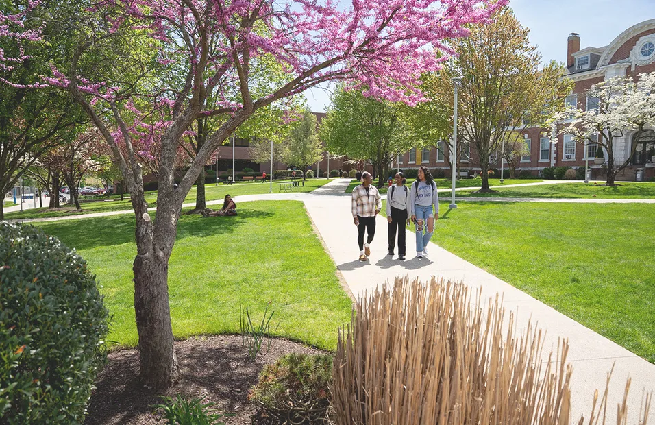 when is eid al fitr 2026 — GB news