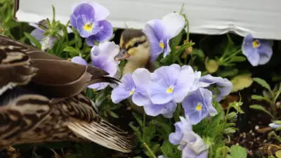 when is mother's day — GB news