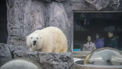 asahiyama zoo — GB news