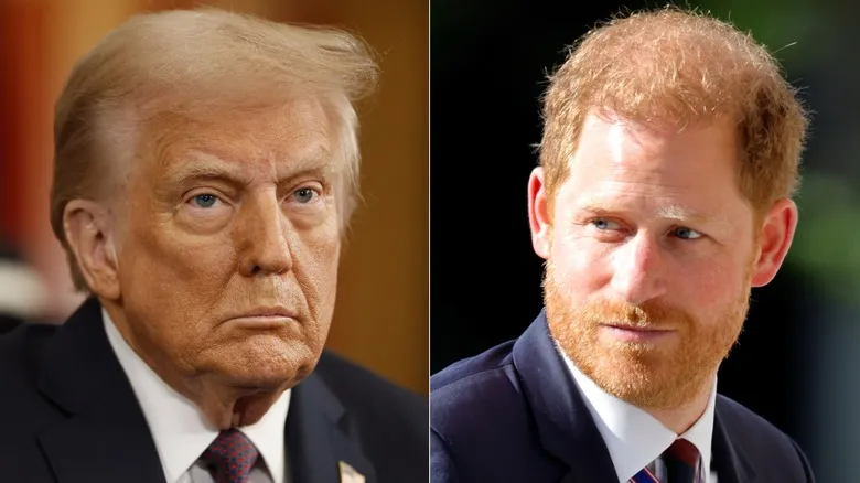 donald trump prince harry — GB news
